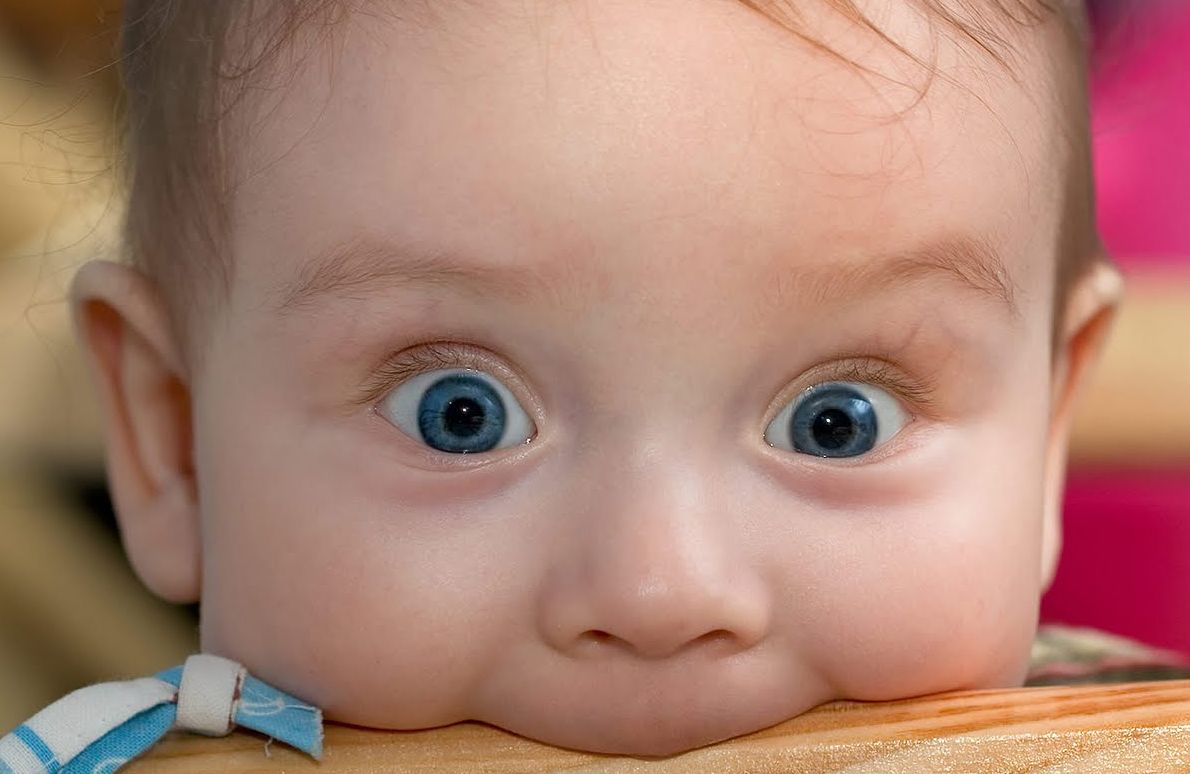 Adorable little baby biting a wood at a Preschool & Daycare/Childcare Center serving Apex & Fuquay-Varina, NC